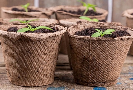 Garden Essentials Sale